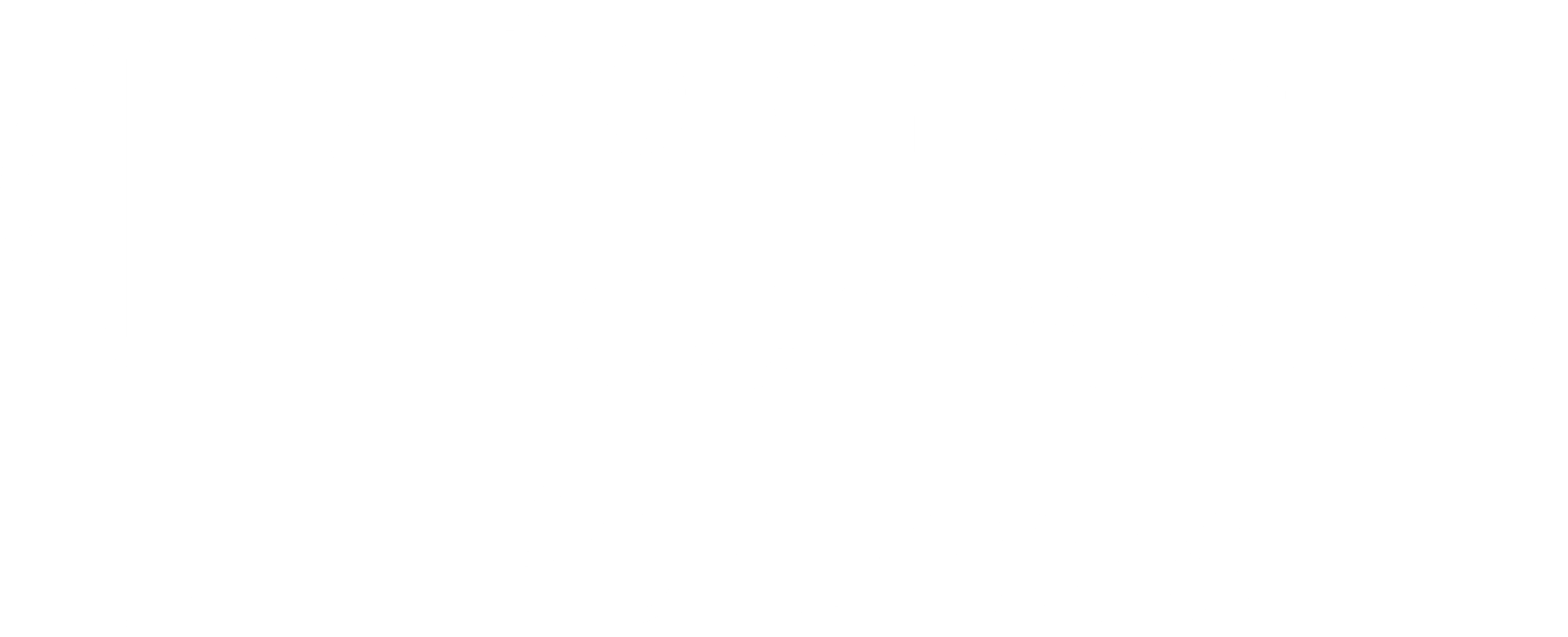 Peterson Technology Partners Logo- IT Staffing & Consulting Firm